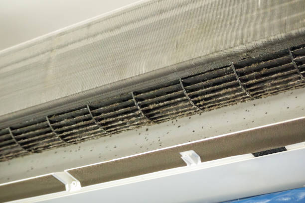 Best Ductwork Cleaning Services  in Hoover, AL